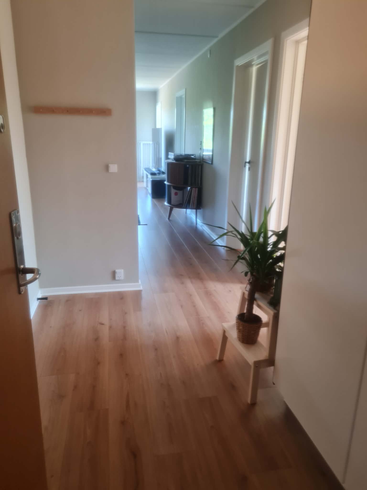 Værelse til leje i nyrenoveret lejlighed