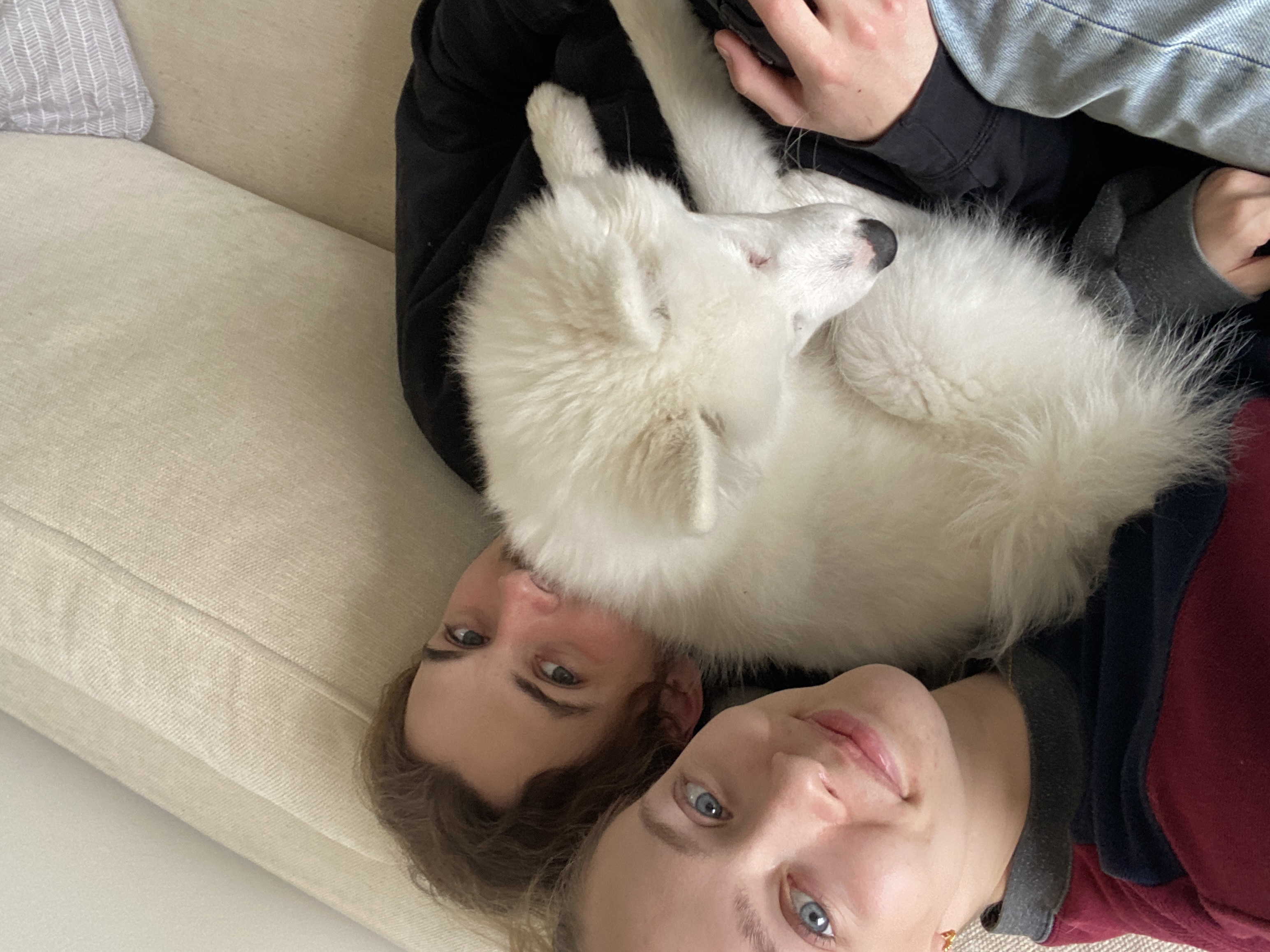 Par med hund søger rækkehus eller lejlighed med have 2