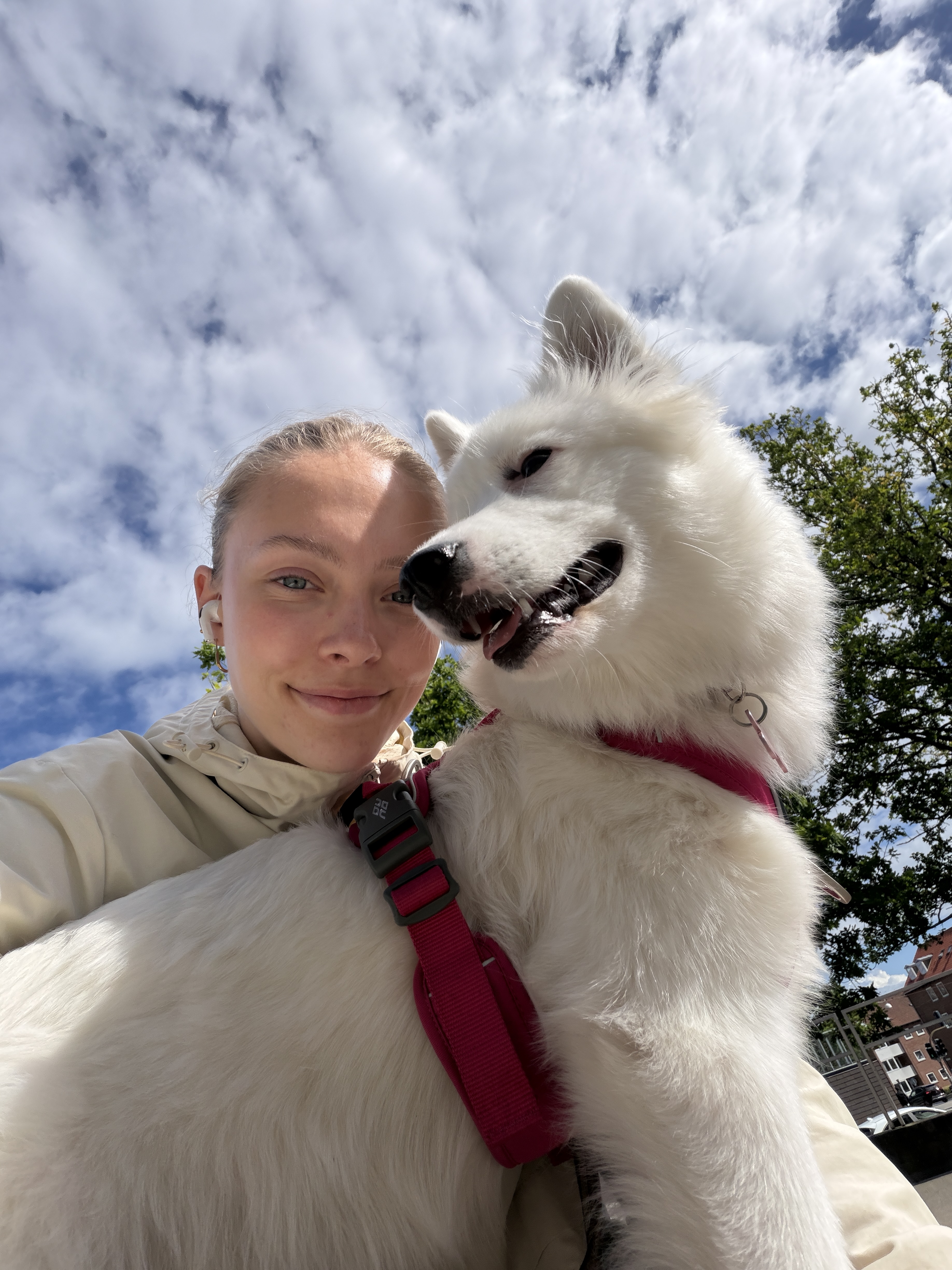 Par med hund søger rækkehus eller lejlighed med have 3