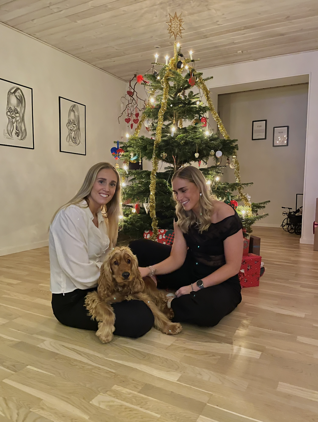 Håndboldspiller søger bolig i Aarhus C 2