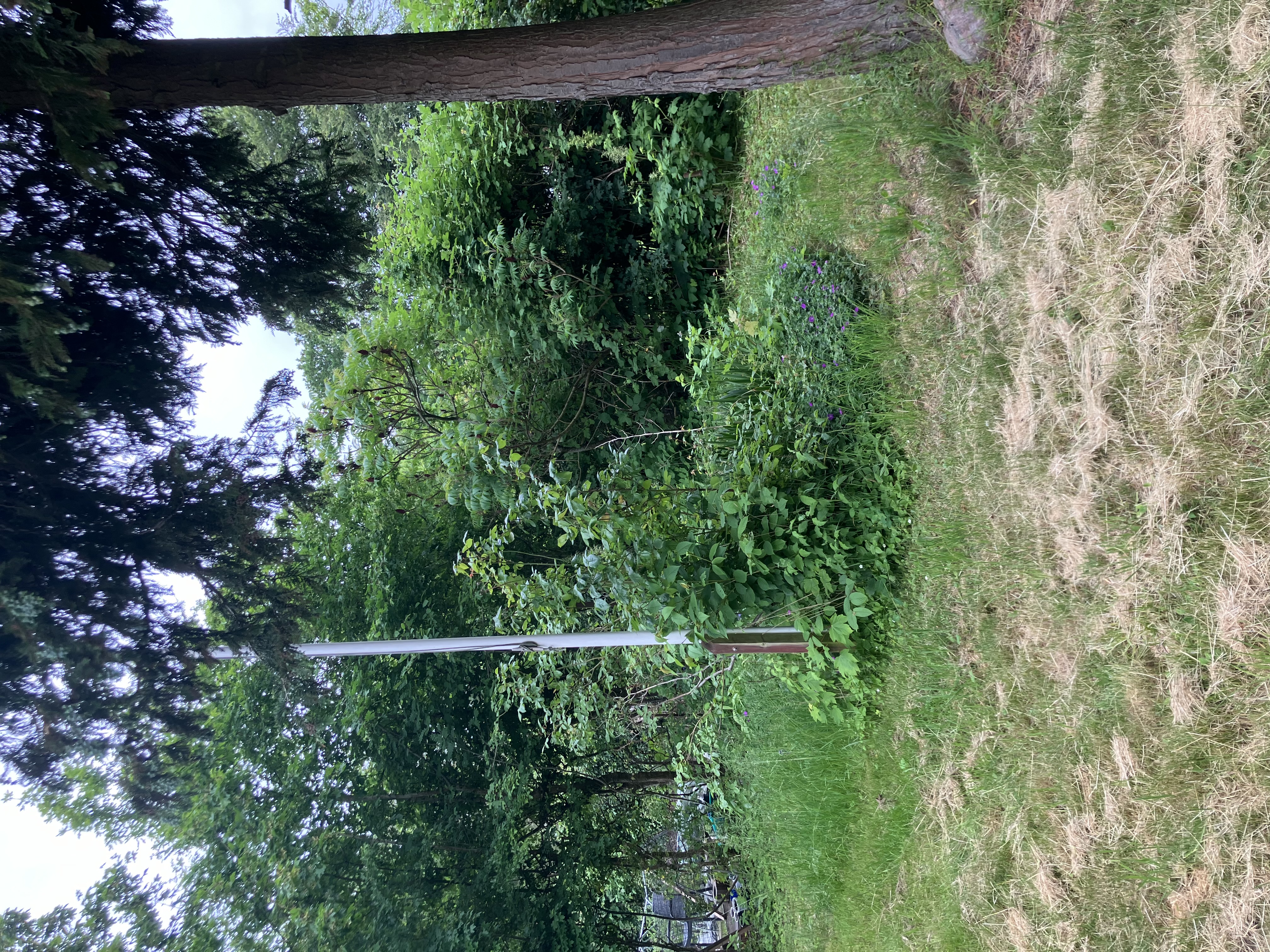 Kolonihave i Fredericia, 836kvm grund 3